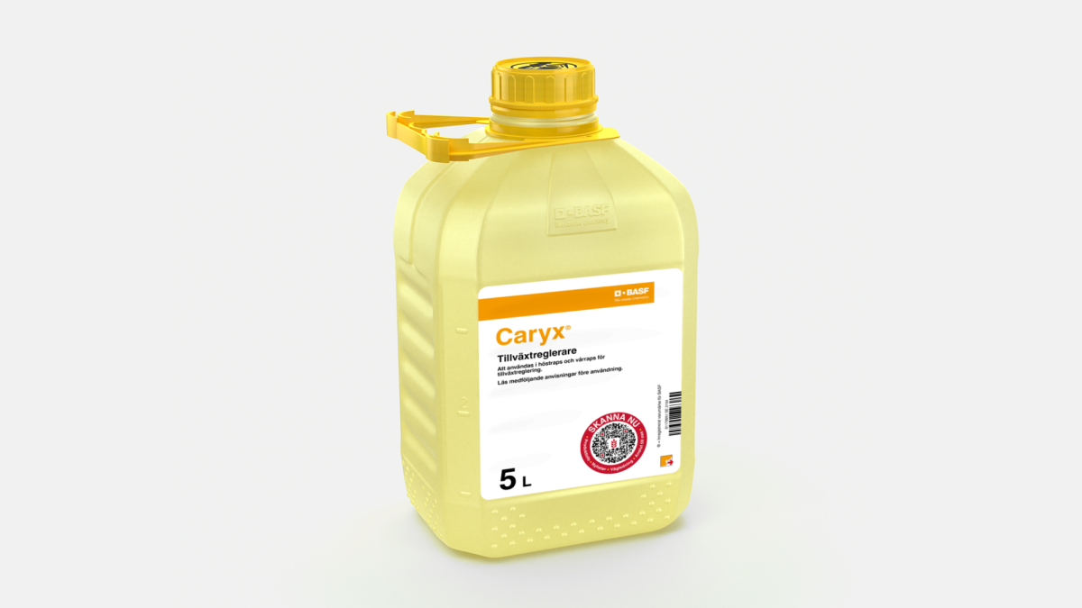 Caryx - 58105011