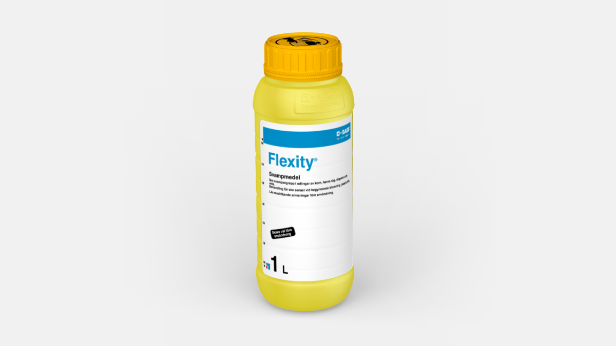 Flexity - 58652483