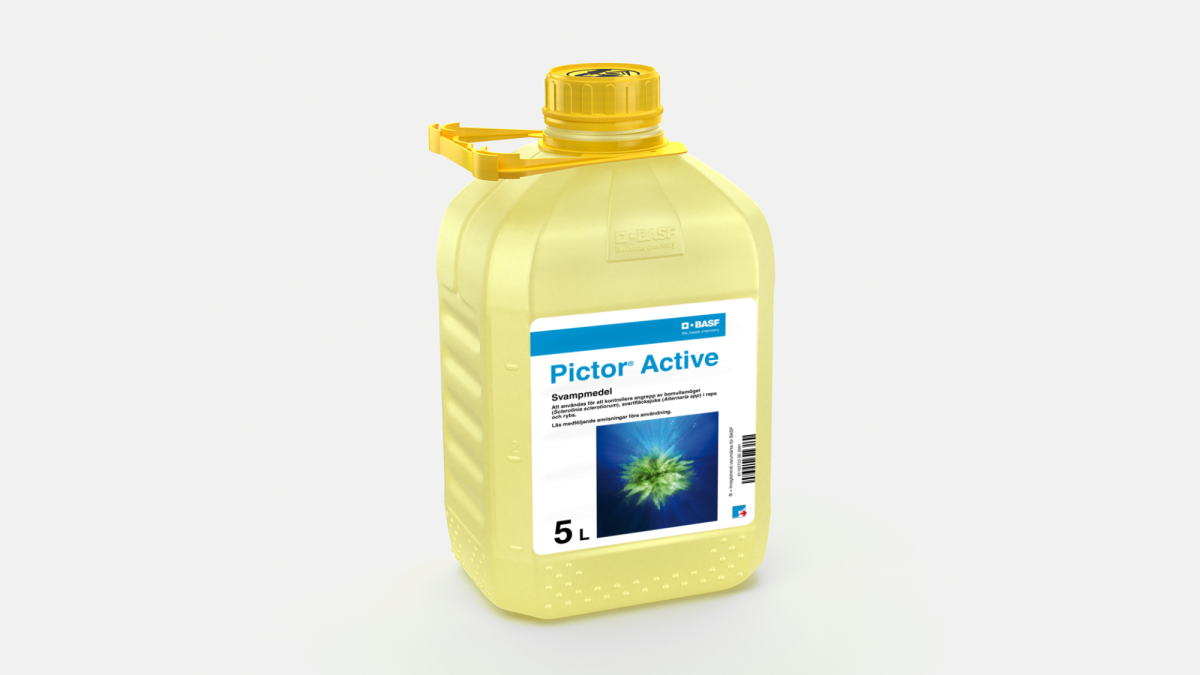 Pictor Active - 58082619