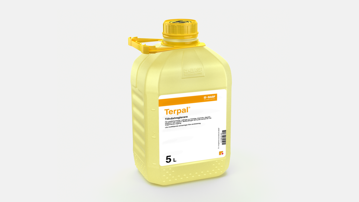 Terpal - 58671262