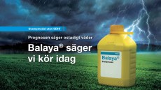 Balaya® - Ny effektiv bredspektrumfungicid utan SDHI