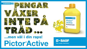 Pictor® Active - Sveriges starkaste och bredaste fungicid för raps