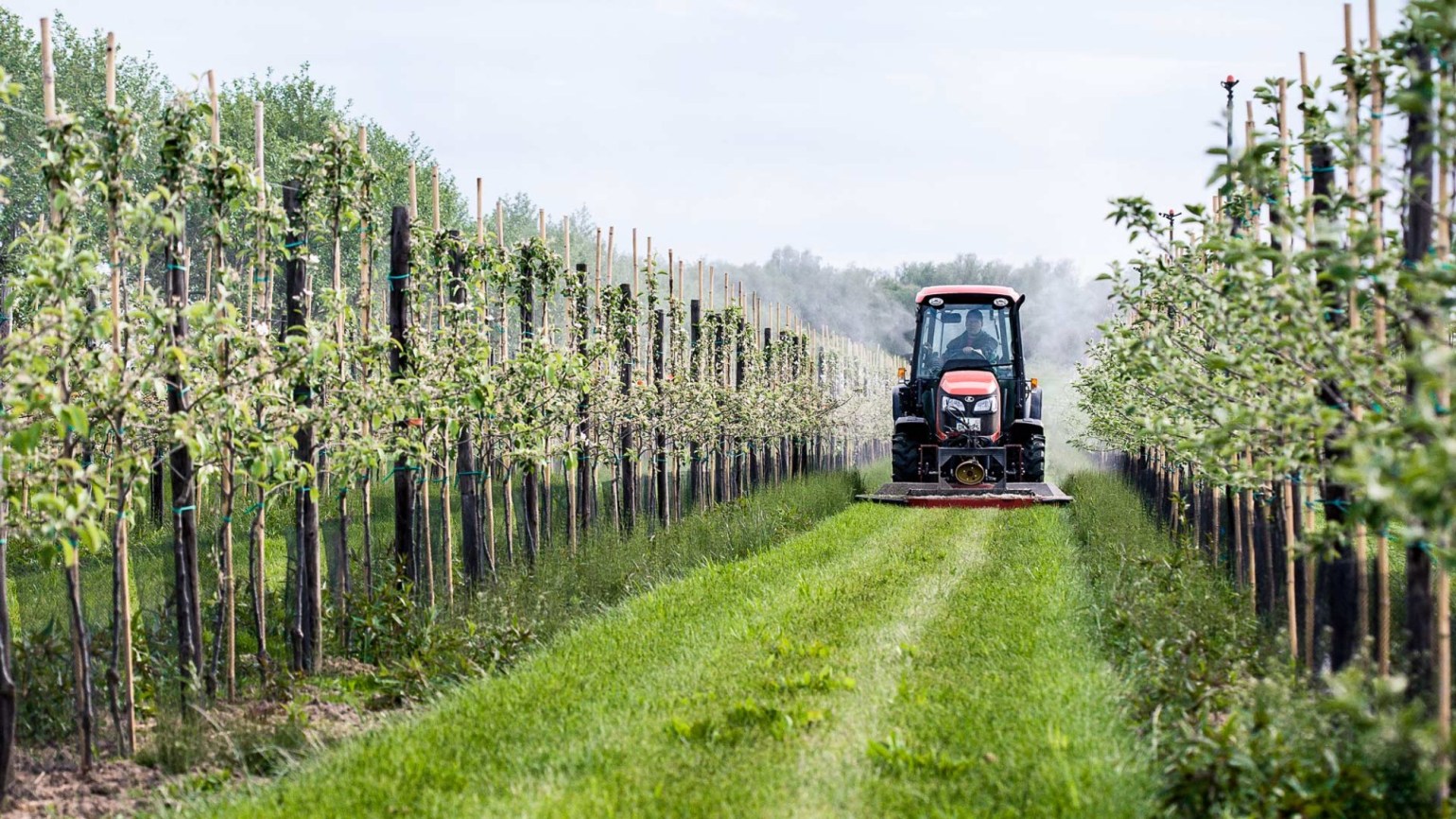 Regalis Plus Regalis Plus - BASF Agricultural Solutions Sverige