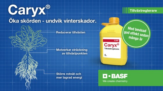 Caryx