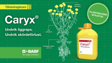 Caryx - Styrning av tillväxten i din höstraps