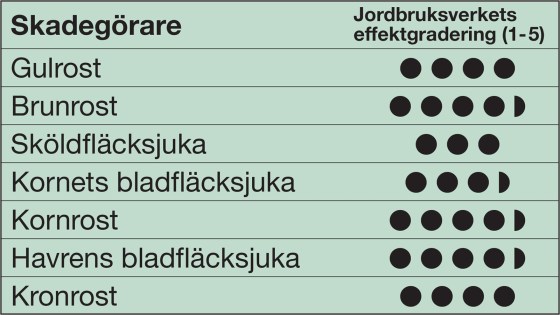 Effektschema med Comet Pro i stråsäd​