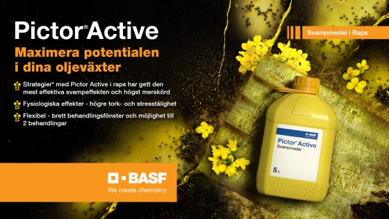 Pictor Active
