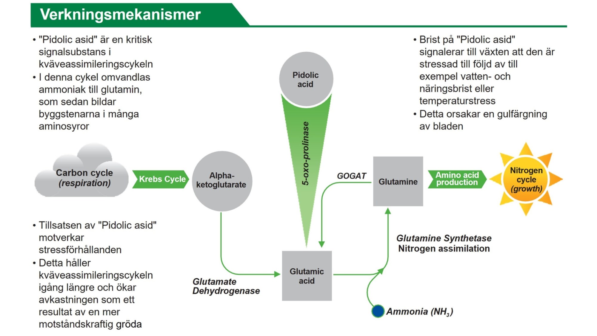 Talisman