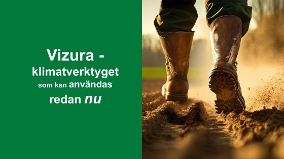 Vizura