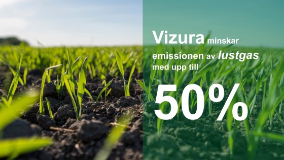 Vizura