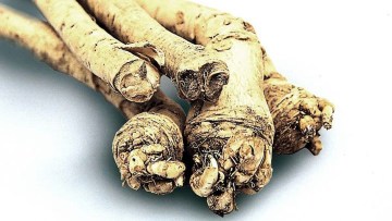 Pepparrot
